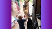 Dogs making babies laugh is the cutest thing you will see today  (3)