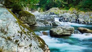 Beautiful Washington | Scenic Nature Documentary Film about Washington State. TRAILER. Parts 1-3