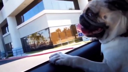 I BOUGHT MY HUSBAND HIS DREAM CAR! *HE CRIED*