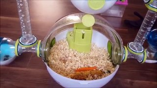 HOW TO CLEAN A HAMSTER CAGE !!!!!!!!!! (WITH BABIES INSIDE)