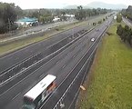 Avustralya'da trafik kameralarına bir cockatoo papağını misafir oldu:  Department of Transport and Main Roads (Queensland)