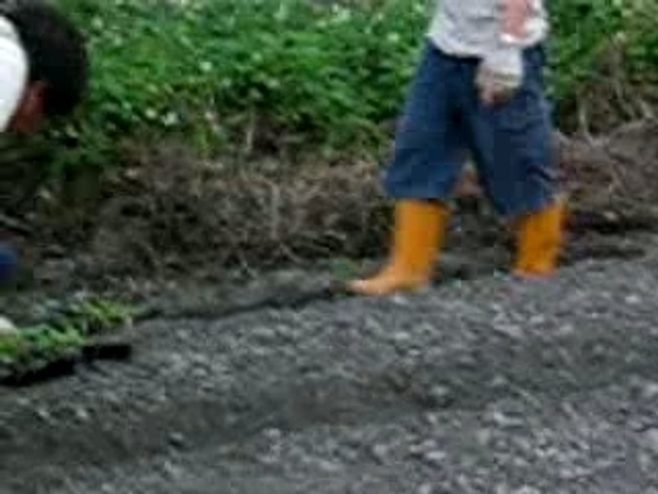 小菜園