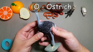Words that start with O | Learn alphabet O with common toys!