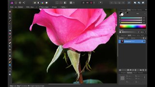 How to Change Colors in Affinity Photo (EASY Tutorial)