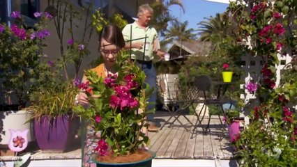 Home and Away | E6364 - 6365 | 18th February 2016 (HD)