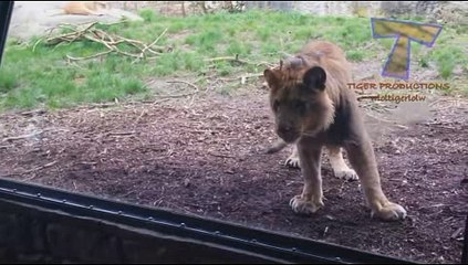 온카지노 더킹카지노주소 ＣARＤ328쩜 C0M ◀▶ 온카지노주소