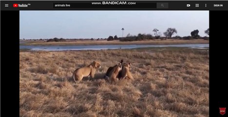 bandicam 2018-05-24 21-01-00-566qq (1119)