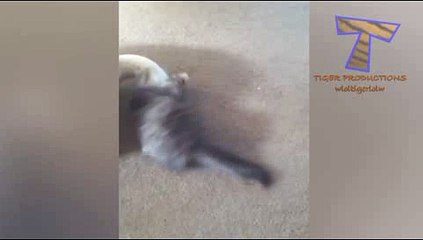 마이크로게임 sa게임 ＣARＤ328쩜 C0M ◀▶ 호게임사이트