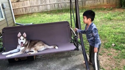 baby and dog loves swing