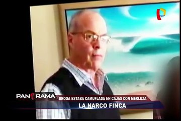 Organización criminal trasladaba droga camuflada en cajas de merluza