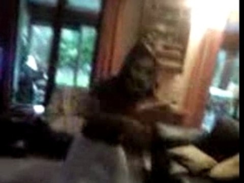 Tit Vince En mode : Scream Electro