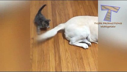 카지노사이트주소 해외카지노사이트 ＣARＤ328쩜 C0M ◀▶ 인터넷카지노사이트