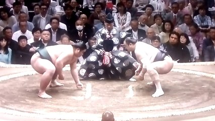 錦木 vs 安美錦 2018年大相撲夏場所初日 20180513