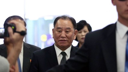 김영철 평양행...김정은에 방미 성과 보고할 듯 / YTN