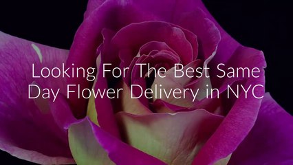 Get Same Day Flower Delivery in NYC | (646) 762-1221