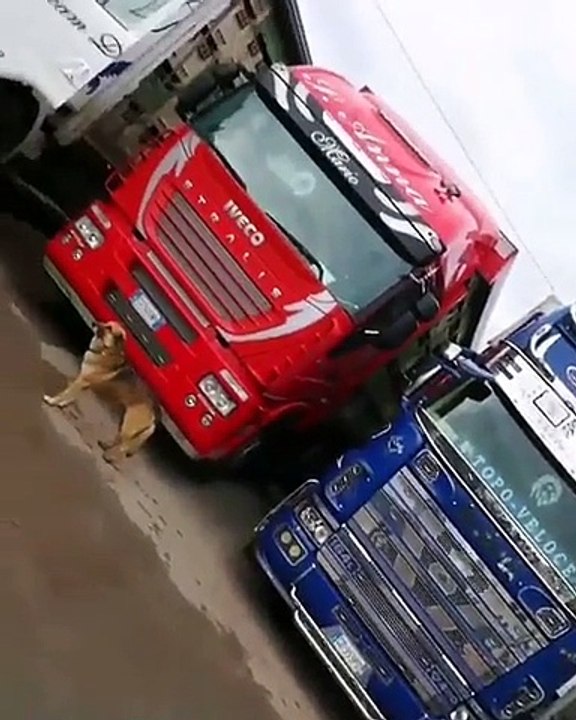 Saray Yavrusunu Andıran Tır Kabini/Palace-like truck cabin