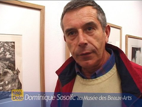 Sosolic au Musee des Beaux-Arts de Dole