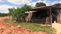 - Taşçı ailesi, kendilerine uzanacak yardım eli bekliyor- Yerleşim yeri dışında yıkılmak üzere olan evde yaşam savaşı veriyorlar