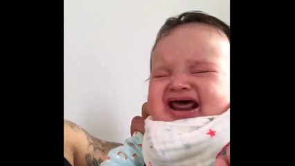 Les pleurs d'un bébé troublent ce chien