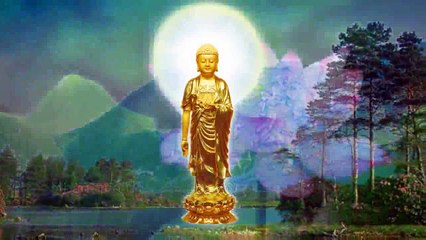 LỜI KHUYÊN  NHỦ  XIN HÃY QUÝ TRỌNG SINH MẠNG   MUÔN LOÀI