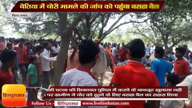 बेतिया में चोरी मामले की जांच को पहुंचा बसहा बैल
