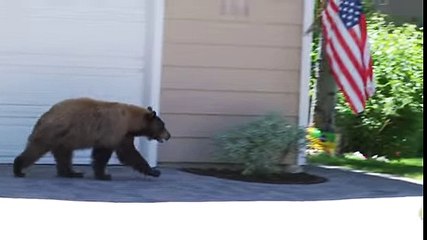 스포츠토토배팅 (【『ＳＡＹ８7.Ｃoｍ 』】)【코드: 0004】☿lqa야구배팅