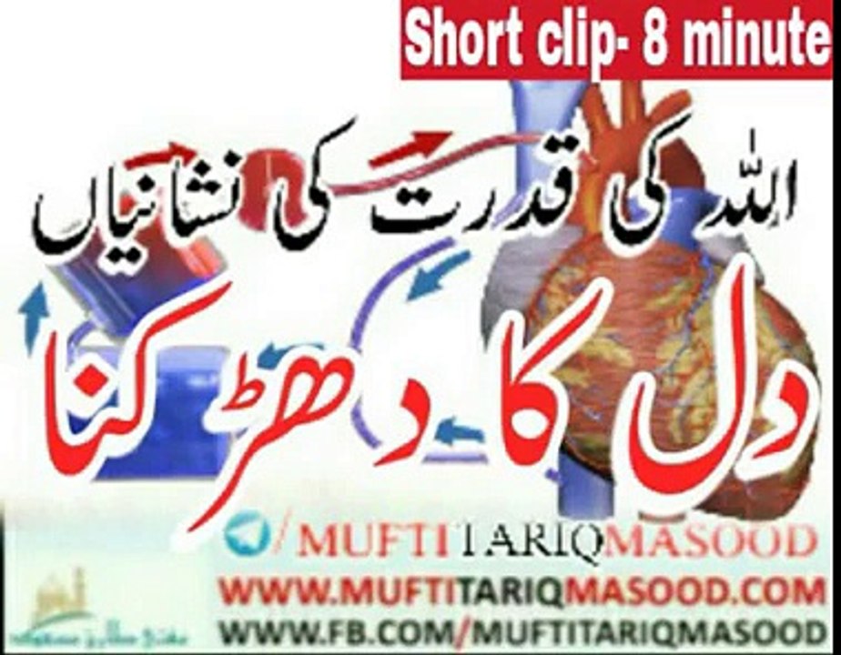 Maulana Mufti Tariq Masood bayan clip