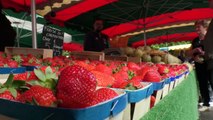 Alpes-de-Haute-Provence : des beaux fruits de saison sur le marché de Forcalquier