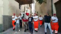 Puglia: incidente alla processione del Corpus Domini. L'arcivescovo cade dal cavallo e si frattura le costole