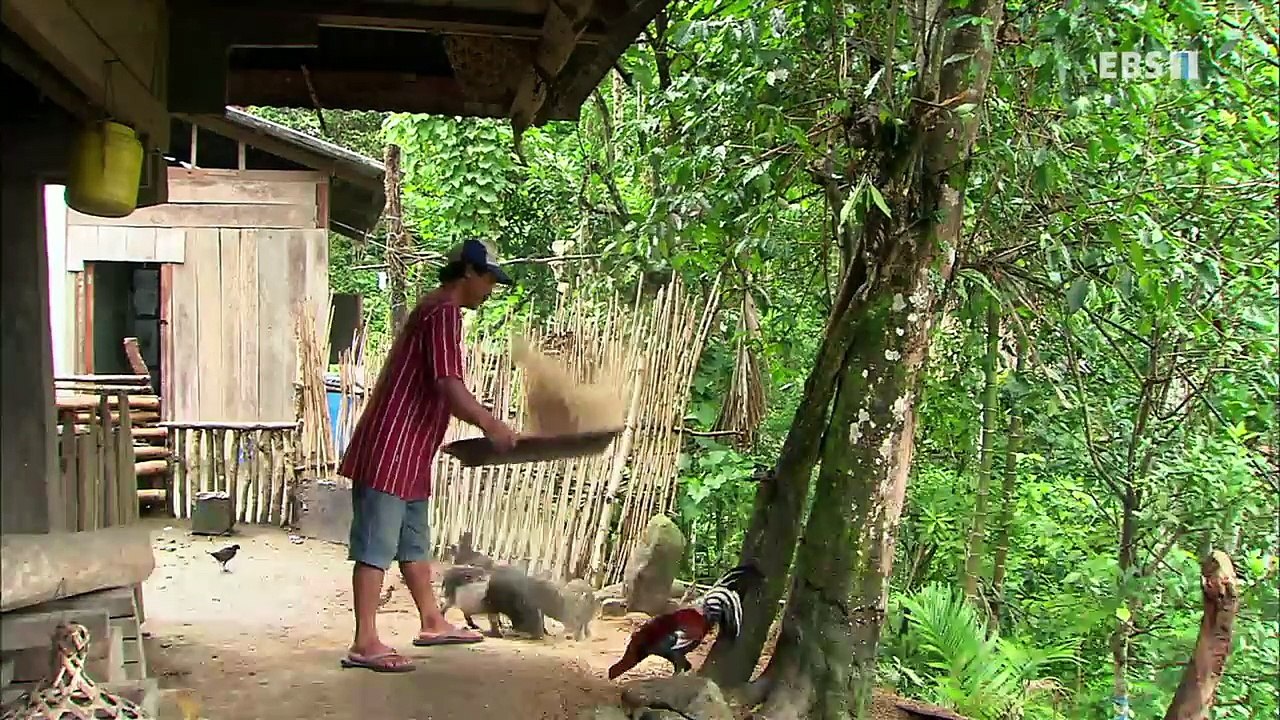 EBS 다큐프라임 - Docuprime_[천상의 녹색 계단 바나우에 라이스 테라스]_#001