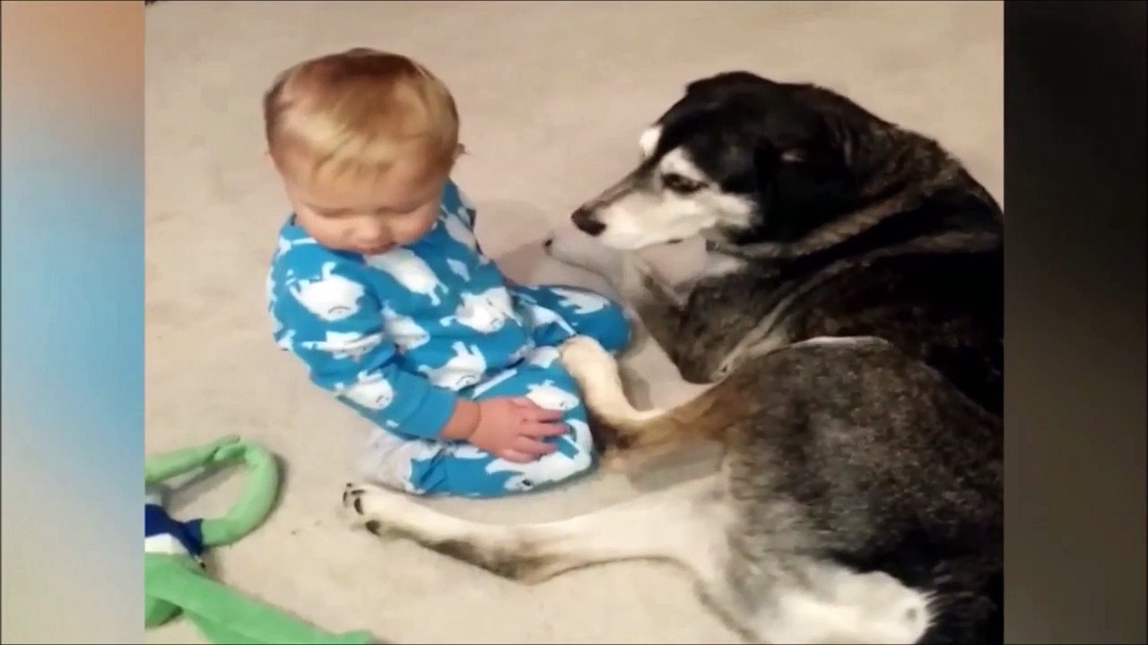 La réaction de ce chien qui voit ce bébé tombé de sommeil... trop adorable