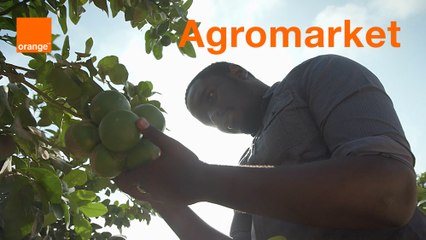 AgroMarket - Start-up Stories Saison 2