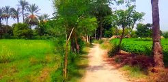 Village Life in Punjab Most Beautiful Places In Pakistan