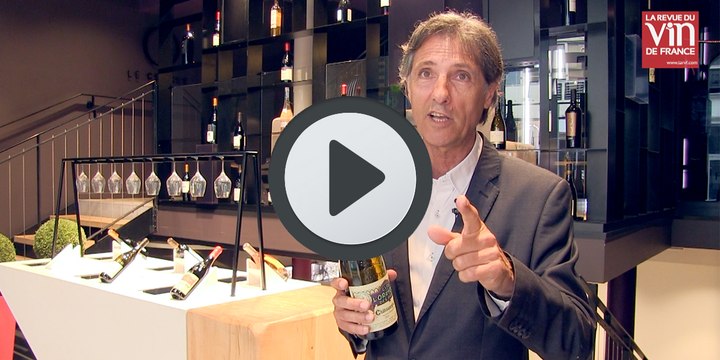 Chasse aux trésors : des bouteilles de vin cachées dans le vignoble !