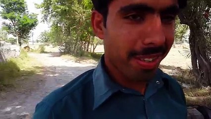 Tubewell Diesel Engine Water Pump In Punjab _ Agriculture In Pakistan