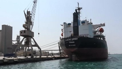 وول ستريت: الإمارات استعانت بواشنطن للاستيلاء على ميناء الحديدة