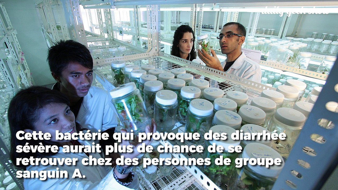 À cause de votre groupe sanguin, vous aurez peut-être la diarhée en vacances...