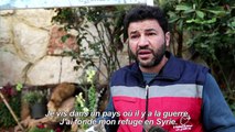 Dans la Syrie en guerre, un improbable refuge pour chats
