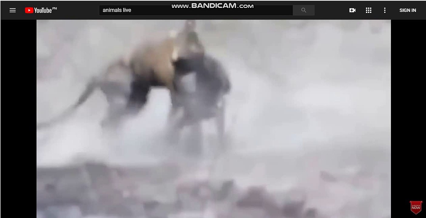 실시간카지노 카지노게임[TG701．ＣＯM]카지노게임 카지노게임 블랙잭 카지노게임 aw220