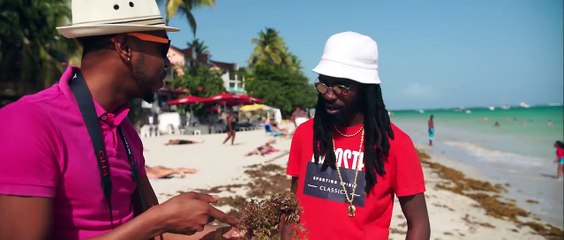 Boss Papy - Sargasse [Parodie Drex - Frozen]