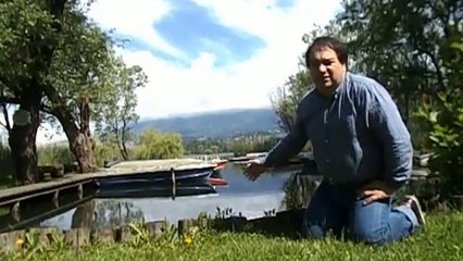Nibiru 2018 Tema dal Porto Giardino del Lago di Varese