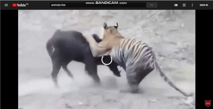 바카라사이트[TG701．ＣＯM]바카라사이트 바카라사이트 별밤 바카라사이트 바카라사이트 바카라사이트 바카라 바카라사이트 바카라사이트 바카라사이트 카지노 바카라사이트 바카라사이트 바카라사이트 훌라 바카라사이트 바카라사이트 바카라사이트 경륜 바카라사이트 바카라사이트 바카라사이트 릴게임 바카라사이트 바카라사이트 바카라사이트 카지노 바카라사이트 바카라사이트 바카라사이트 카지노 바카라사이트 바카라사이트 바카라사이트 경마 바카라사이트 바카라사이트 바카라사이트 바카