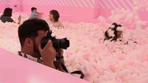 Süßes Vergnügen: Ein Spaßmuseum mit Marshmello-Pool