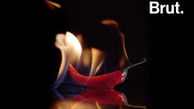 Pourquoi les piments piquent ?