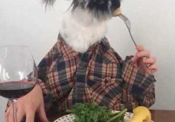 Bunny Enjoys Classy Dinner