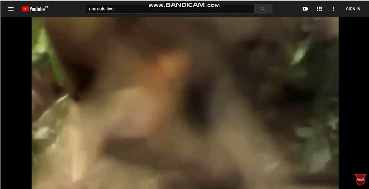 카지노싸이트 바카라싸이트[TG701．ＣＯＭ]바카라싸이트 바카라싸이트 섯다 바카라싸이트 kp372