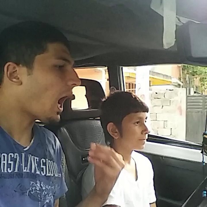 sefakindir (26)