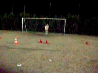 TATE,LUDO,TAHO,RHEDDA,SEB