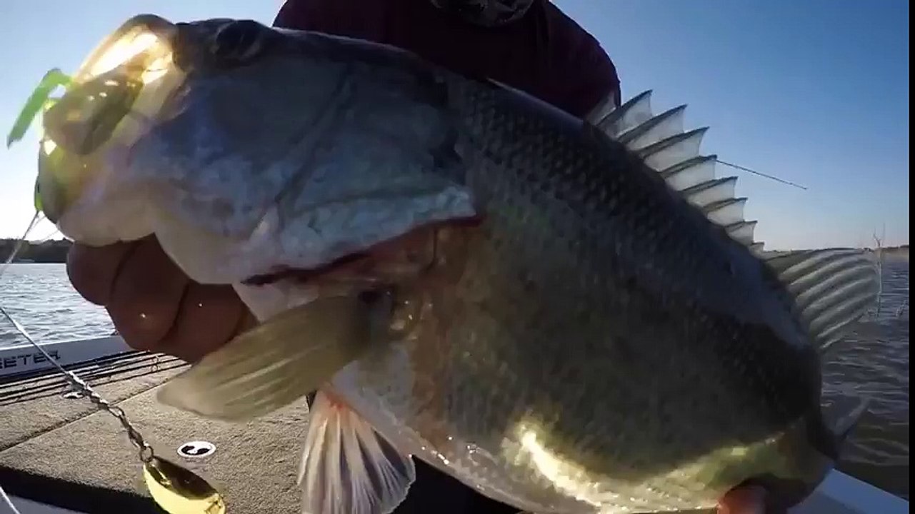 Chute d'un pêcheur du bateau.. il tombe lamentablement dans l'eau !