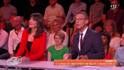 On peut désormais cloner son chien pour 90 000 euros !
